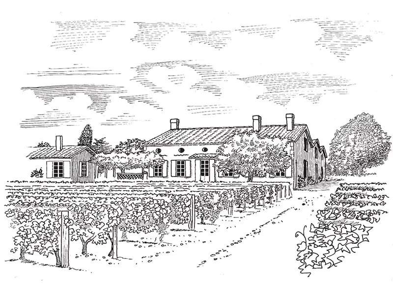 logo vignobles Tournier Saint-Émilion et Pomerol à Libourne vin AOC Bordeaux