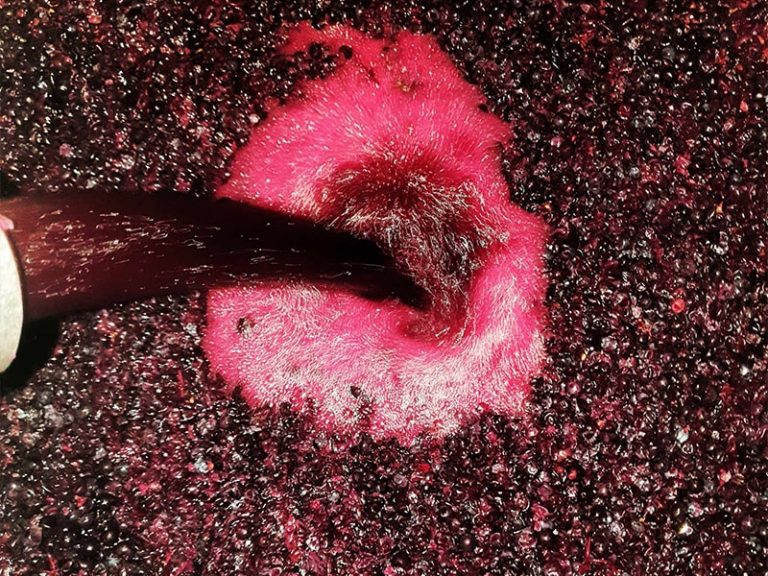 Vinification chai Tournier Libourne pour producteur vin AOC château Rocher Figeac à Saint-Émilion